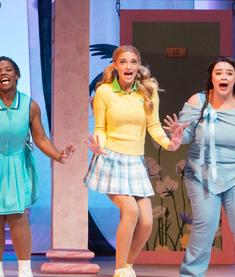 Legally Blonde Charleston Stage